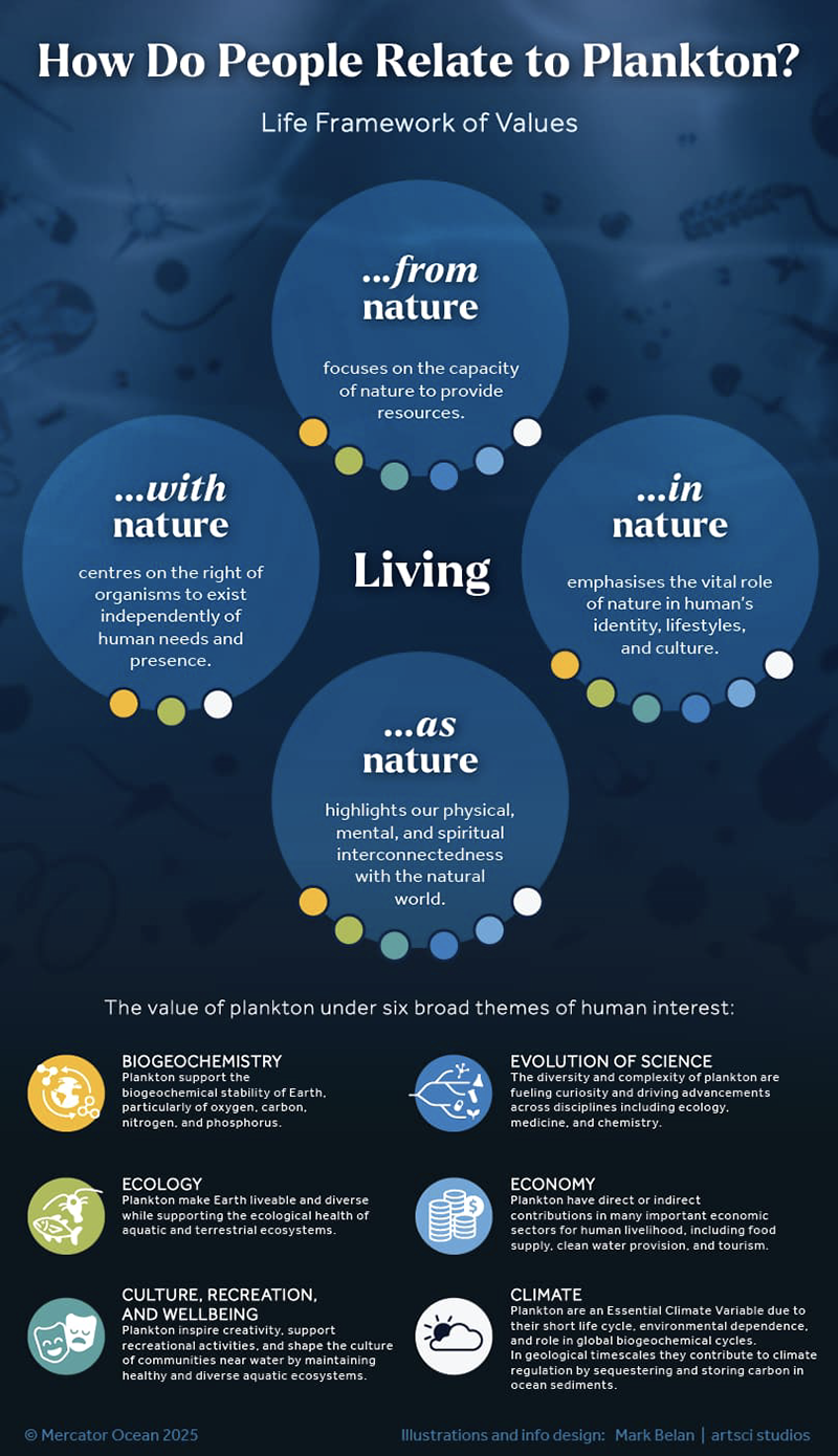 This is one of many detailed infographics featured in the new paper that looks into the value of plankton. Credit: Mercator Ocean 2025.