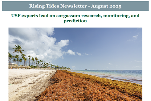 Rising Tides - August 2025