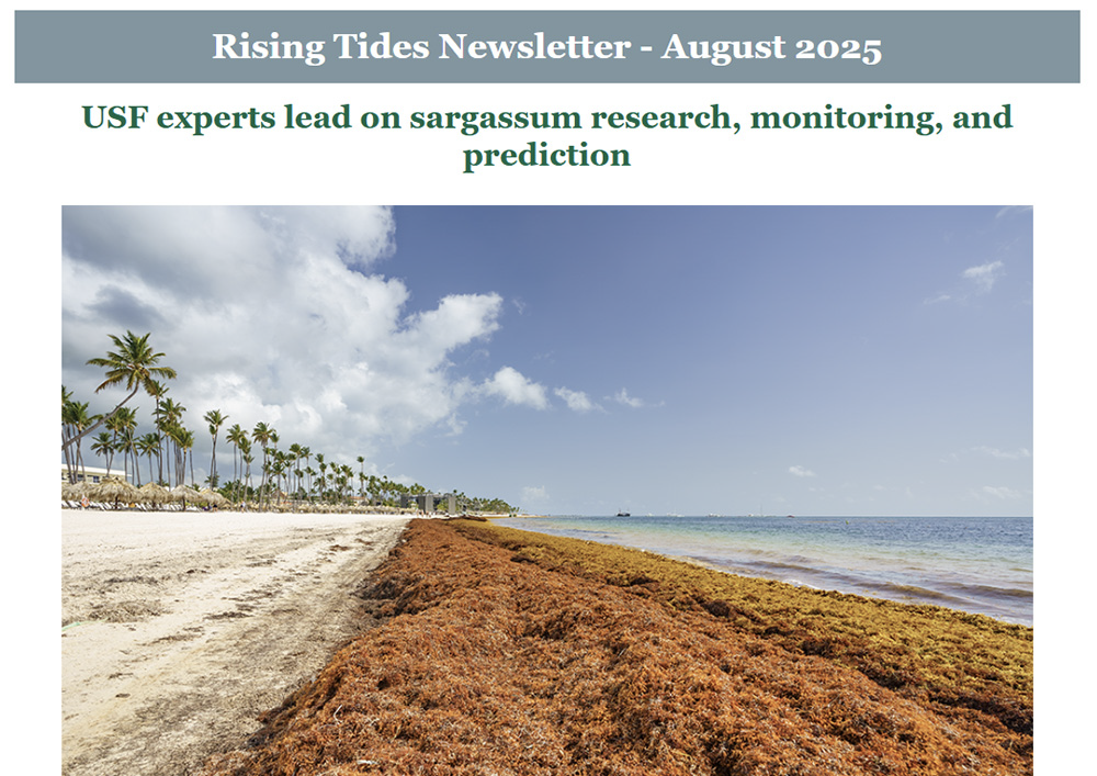 Rising Tides - August 2025