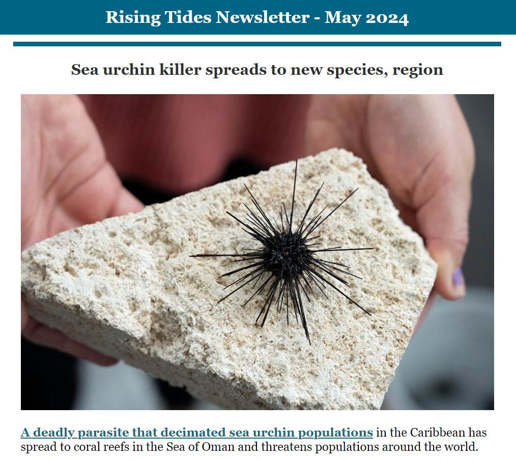 Rising Tides - May 2024