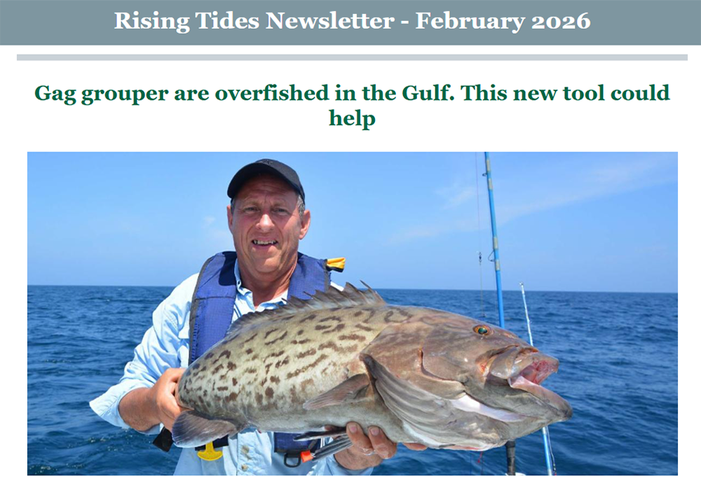 Rising Tides February 2026 | USF College of Marine Science