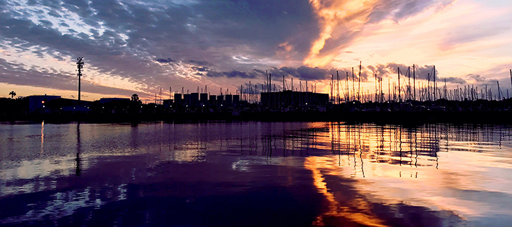 USF CMS sunset