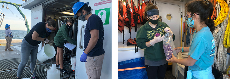 USF College of Marine Science team collects samples for analysis. 