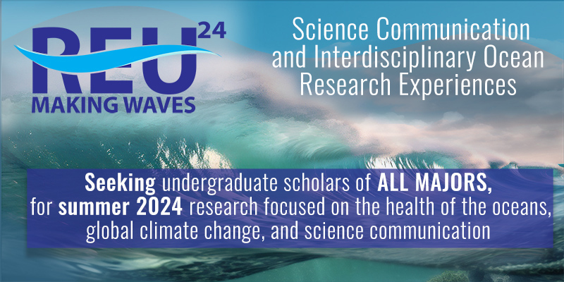 USF Making Waves REU Flyer