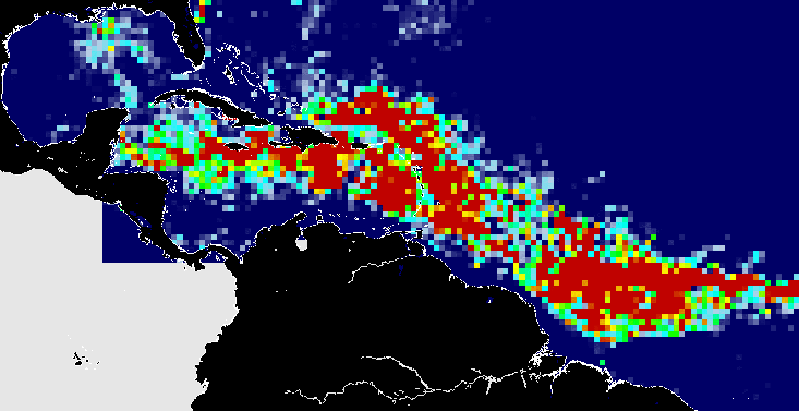 USF scientists use NASA satellite images to track Sargassum, a brown seaweed. In June 2021 (shown above) they found it in record-high amounts in the Caribbean, central west Atlantic Ocean, and Gulf of Mexico.