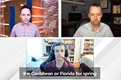 Great Atlantic Sargassum belt can extend from Africa to the Caribbean