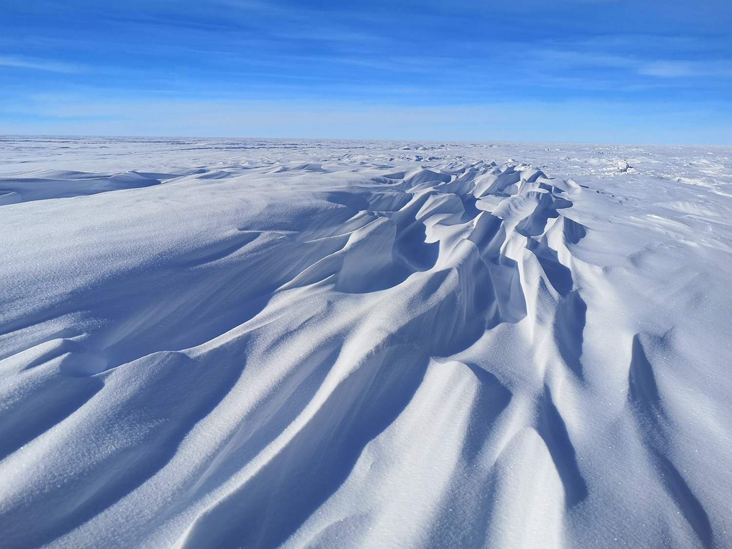 Wind-sculpted snow on an Antarctic ice sheet