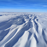Wind-sculpted snow on an Antarctic ice sheet. Credit: Andy Hung AAD