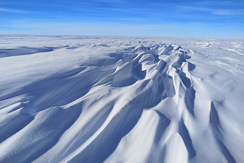 Wind-sculpted snow on an Antarctic ice sheet