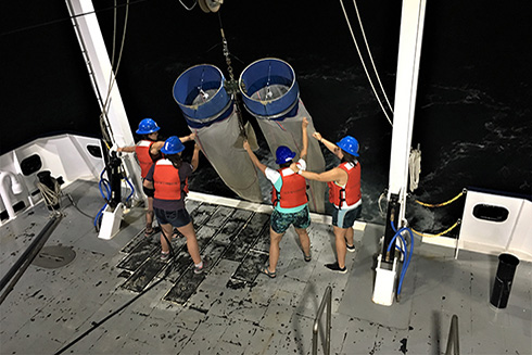 Working the overnight shift, Grace Koziol, Brianna Michaud, Nicole Seiden, and Abby Blackburn (left to right) control the Bongo nets as they’re hoisted aboard the R/V Hogarth.