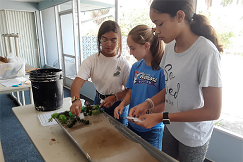 A group of campers at the beach station working together to label the parts of their model of a natural beach. They are labeling the Primary and Secondary dunes which are held together by plants and separate the beach from the mainland. 