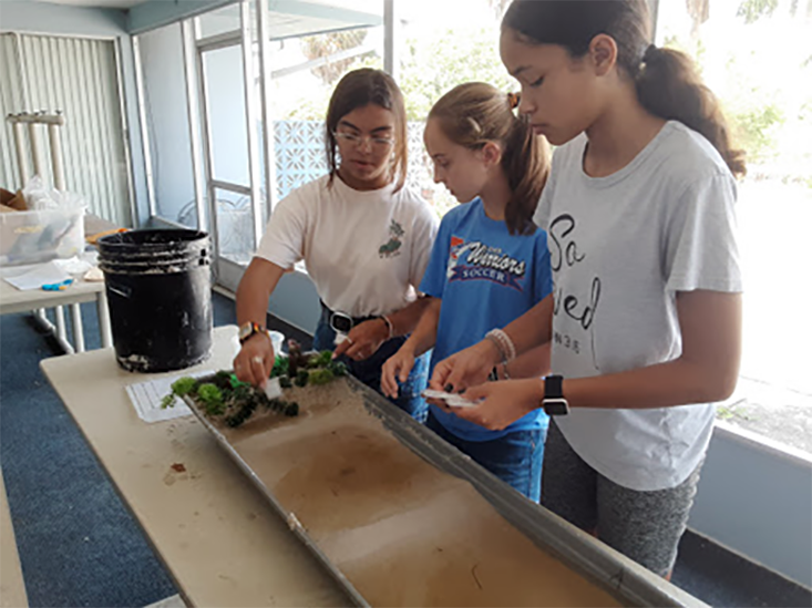 A group of campers at the beach station working together to label the parts of their model of a natural beach. They are labeling the Primary and Secondary dunes which are held together by plants and separate the beach from the mainland. 