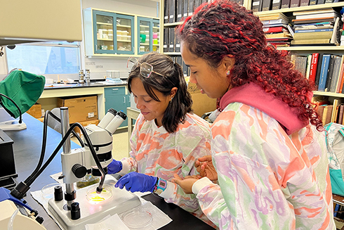 Xiomara Cruz and Juleika Vega Perez attend University of Peurto Rico and are participating in the summer REU program at USF