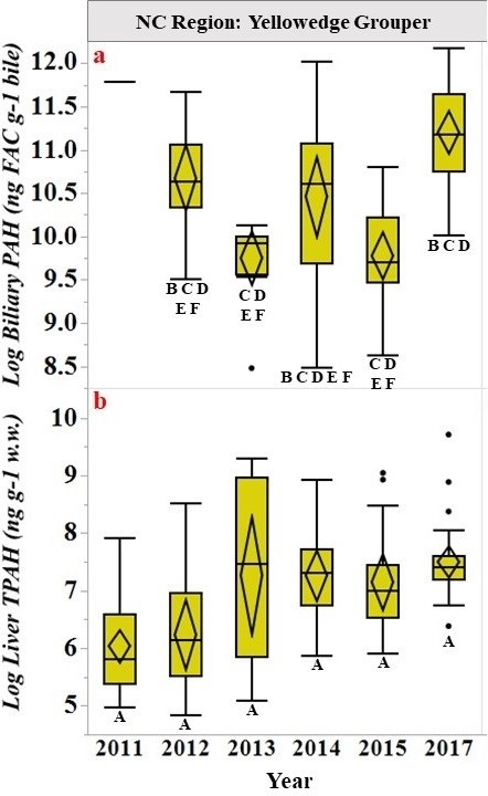 PAHs are increasing in time for several Gulf species, including Grouper, as confirmed in a separate study (https://doi.org/10.1016/j.scitotenv.2019.135551). This graph shows PAH concentrations in the liver (bottom) and the bile (top) of Yellowedge Grouper. Their PAH concentration in the liver increased more than 800 percent from 2011 to 2017.