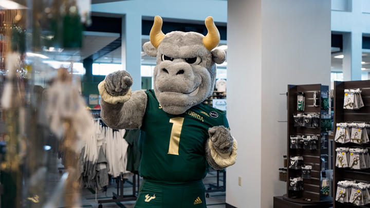 Rocky the Bull browsing merchandise in the Tampa Bookstore