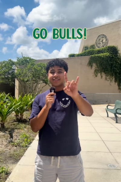 Watch What Being a Bull Means