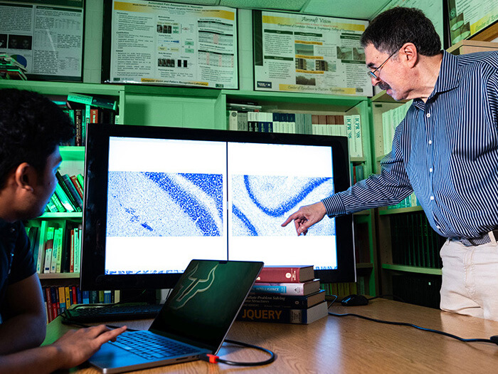 Student and professor examine images on computer screen