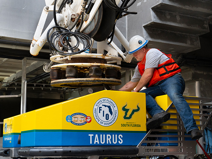 USF researcher works on the Taurus ROV