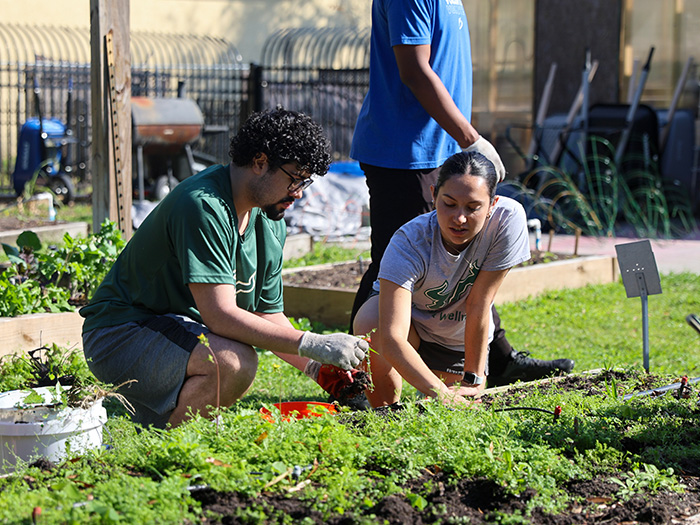 Two students volunteer in a garden