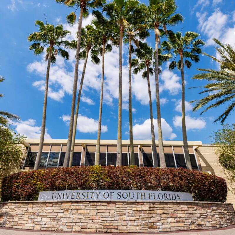 University of South Florida sign with palm trees
