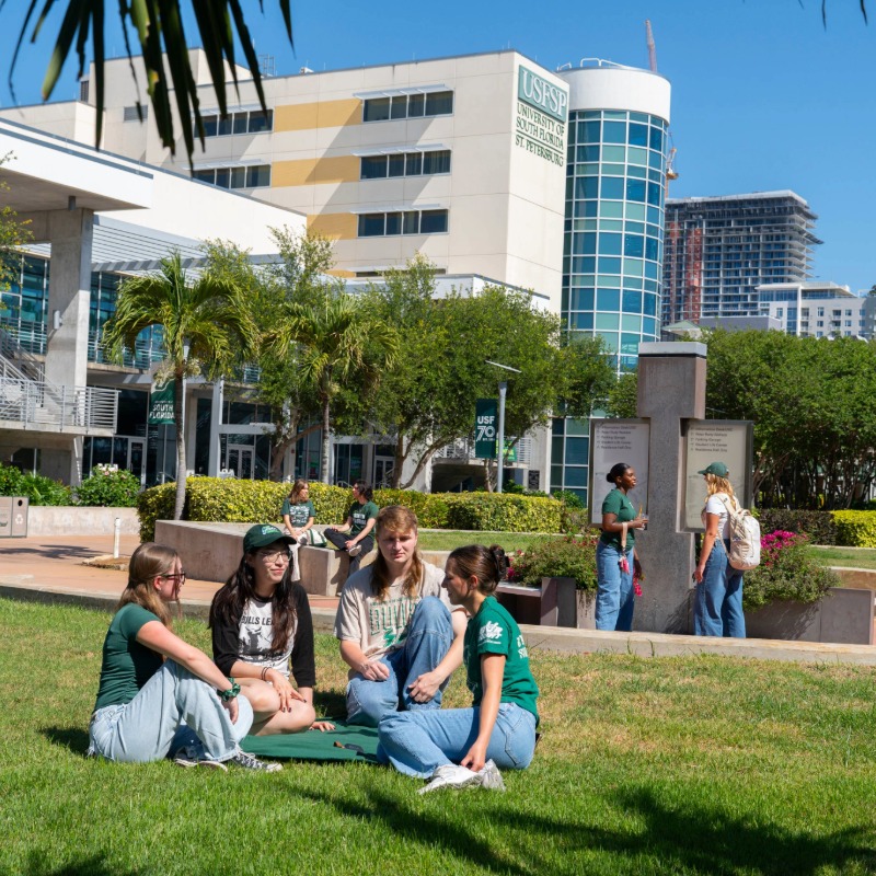 University of South Florida St. Petersburg campus.