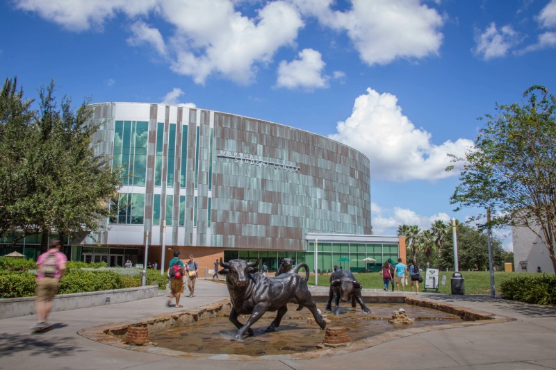 University of South Florida Tampa campus.