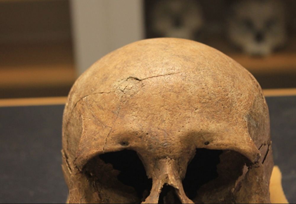 New study: Among Viking societies, Norway was much more violent than Denmark