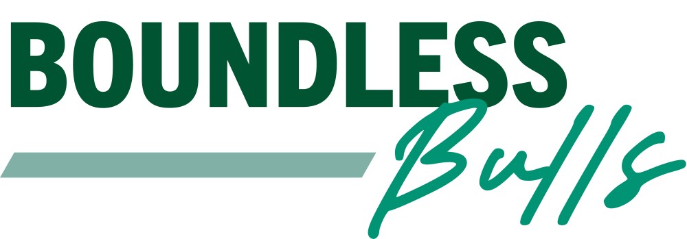 boundless bulls