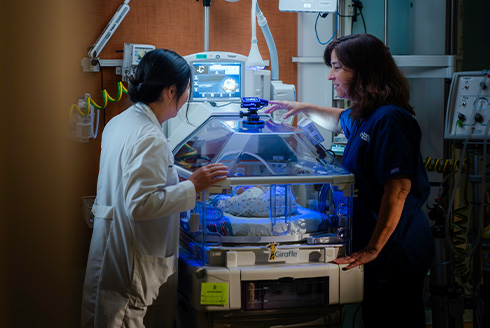 Doctor checking computer for vitals