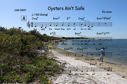 View of the ocean with music note graphics labeled 'Oysters Ain't Safe'