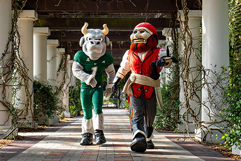 University of South Florida: A Preeminent Research University