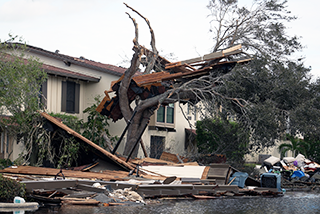 Hurricane damage