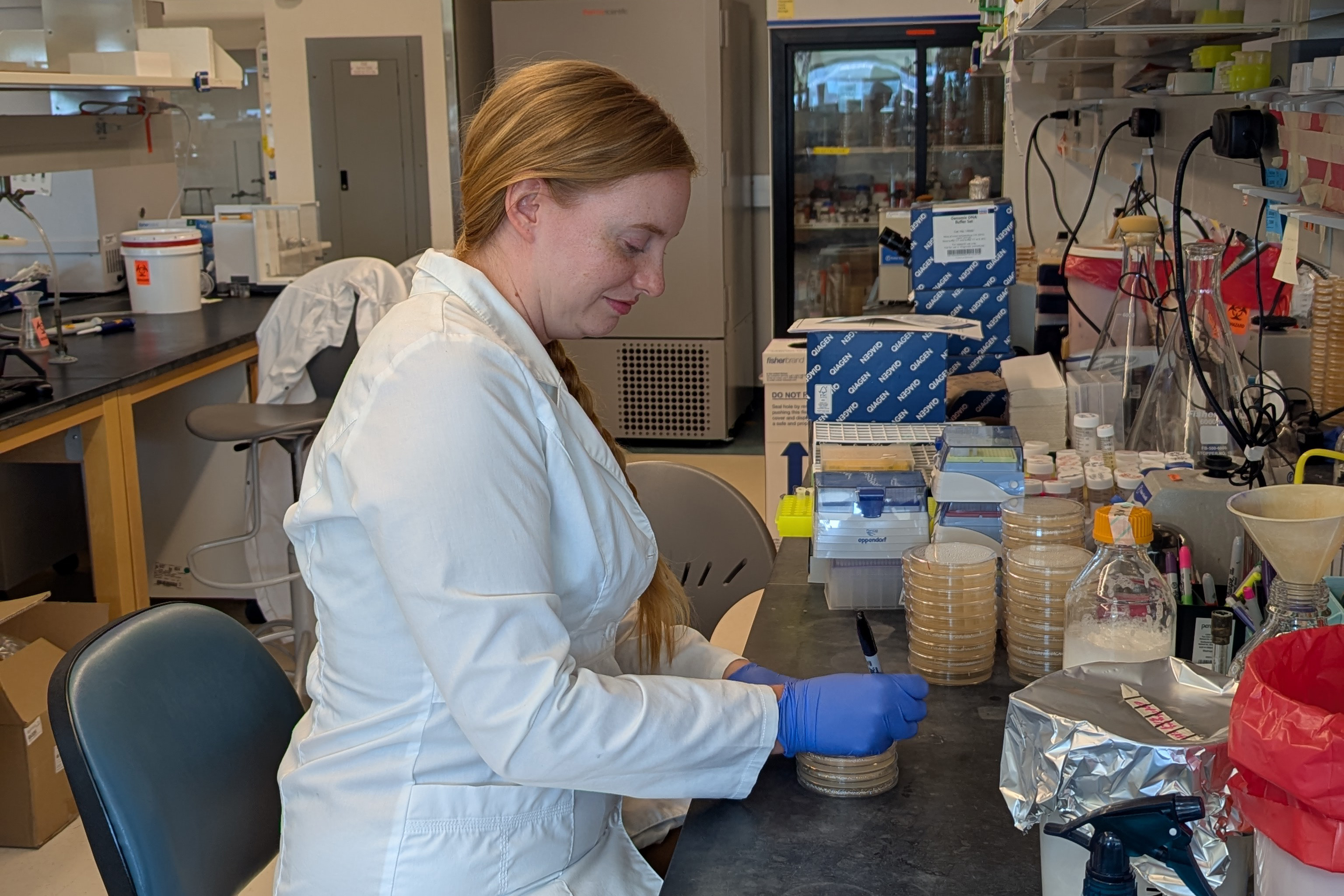 Emily analyzing samples in the lab