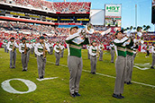 Green and gold in motion: Herd of Thunder ignites Tampa Bay Buccaneers halftime show