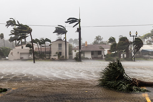 USF expands risk management program as demand and impact grow, especially during hurricane season