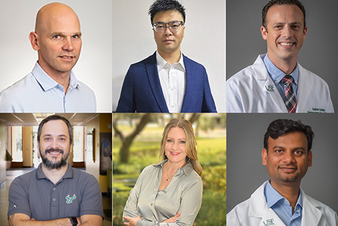 USF faculty members Andreas Muller, Bo Pei, Nathan Schilaty, Mauricio Segundo, Jamie Toghranegar and Hariom Yadav