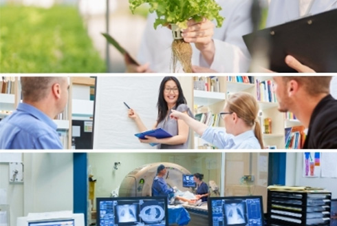 three panels of images of a plant, people talking and MRI