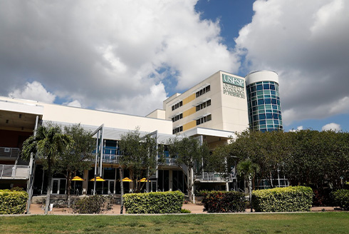 University of South Florida St. Petersburg Campus