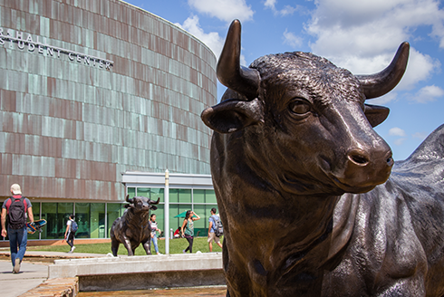 Bull statue outside Marshall Student Center on the USF Tampa campus