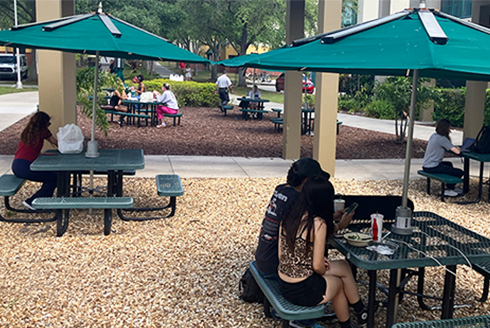 University of South Florida: A Preeminent Research University