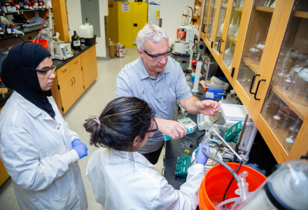 USF chemstry students with professor
