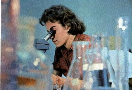 USF researcher in 1966