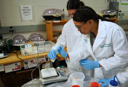 USF undergraduate students in lab 