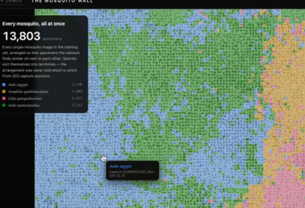 Wall map of captured mosquitos