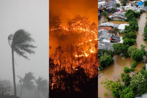 Collage of fire and hurricane-related imagery