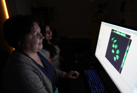 Elena Suvorova examining fluorescent imaging 