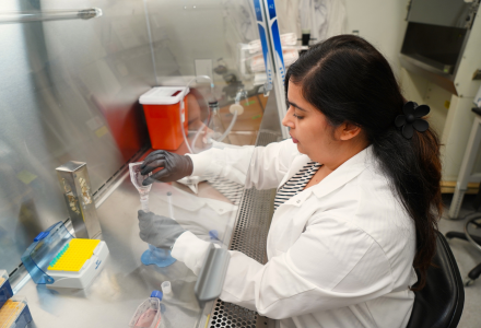 Mrinalini Batra in the Suvorova Lab