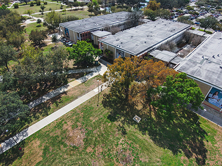 drone trees