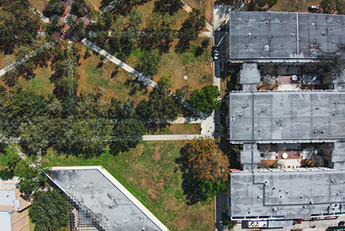 University of South Florida: A Preeminent Research University