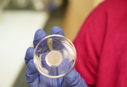 microplastics in a filter
